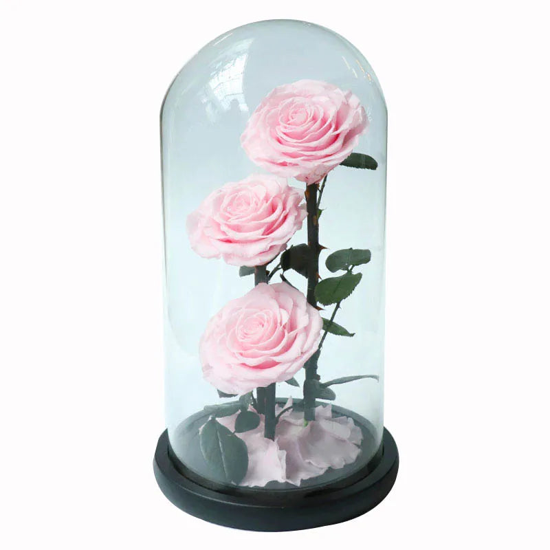 Popular Style Real Fresh Rose Flower 3 Big Princes Forever Rose Glass Natural Touch Large Eternal Birthday Gift for Girlfriend
