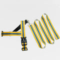 Wholesale Striped Dog Leash with Foam Collar for Small to Medium Breed Dogs