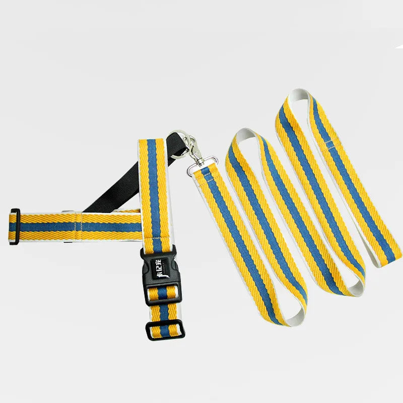 Wholesale Striped Dog Leash with Foam Collar for Small to Medium Breed Dogs