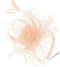 Light Peach Pink Floral Blossom Headdress Tulle Veil Hair Crown for Teens Ladies Garden Wedding Tea Dance Festival