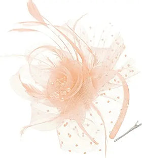 Light Peach Pink Floral Blossom Headdress Tulle Veil Hair Crown for Teens Ladies Garden Wedding Tea Dance Festival