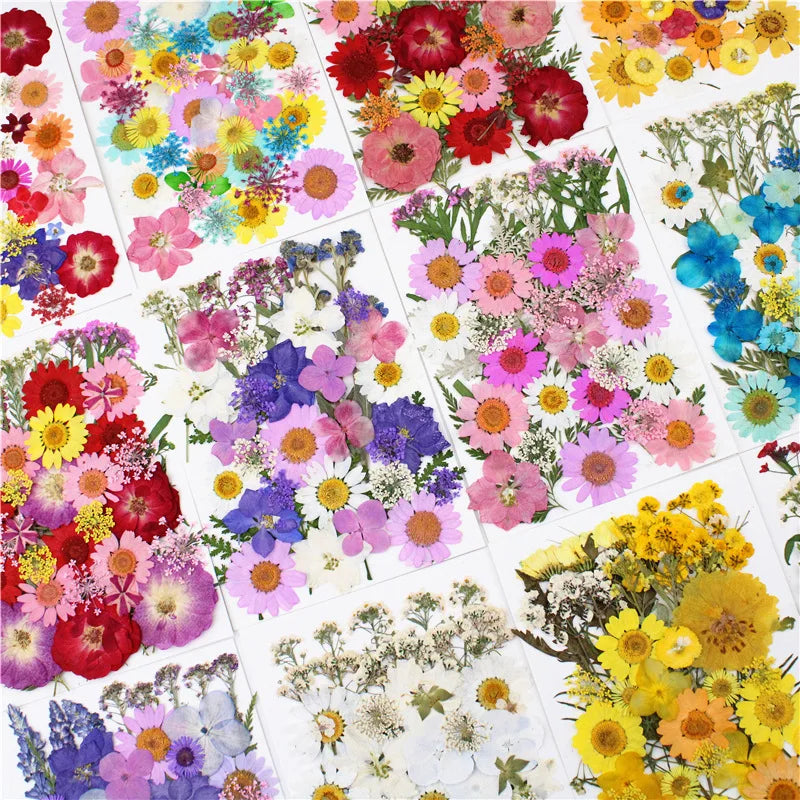 New Arrival 40pcs/Bag Mixed Packing 3d Painting Nail Art Dried Flowers Natural DIY Dry Flower for Nails Decoration