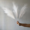Hot Sale B-5510 Artificial Fluffy Pampas Flower Natural Dried Pampas for Wedding Decoration