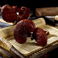 100% Natural Wild Tonic Red - Colored Reishi Herbs Natural Dried Ling Zhi Herbal Tea Lucid Ganoderma Dried Reishi Slicing