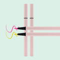 No Logo Pink Striped Eyeliner Vegan Eyeliner Pencils Private Label Black Packaging Waterproof Fluently Eyeliner Glue Pen