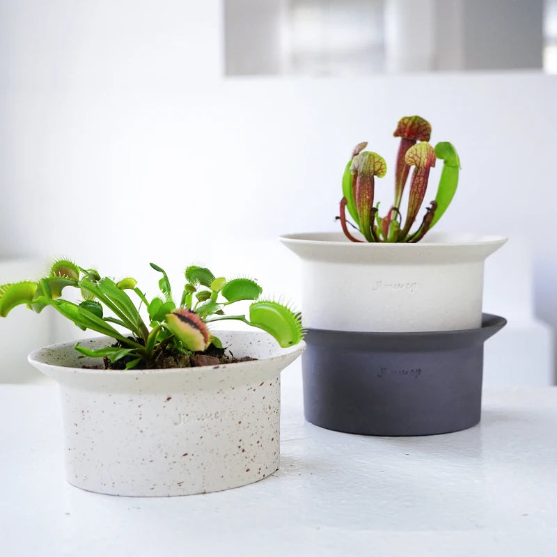 Wholesale Decorative Small Ceramic Succulent Plant Pot with Hole for Home Decor