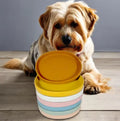 Foldable Portable Silicone Pet Food Bowl Elevated Anti-Slip Eco-Friendly for Cats & Dogs Indoor Use