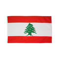 Ready Stock 100% Polyester Flying Style Double Sided 3x5 Ft Pantone Color Soft the Republic of Lebanon Flag