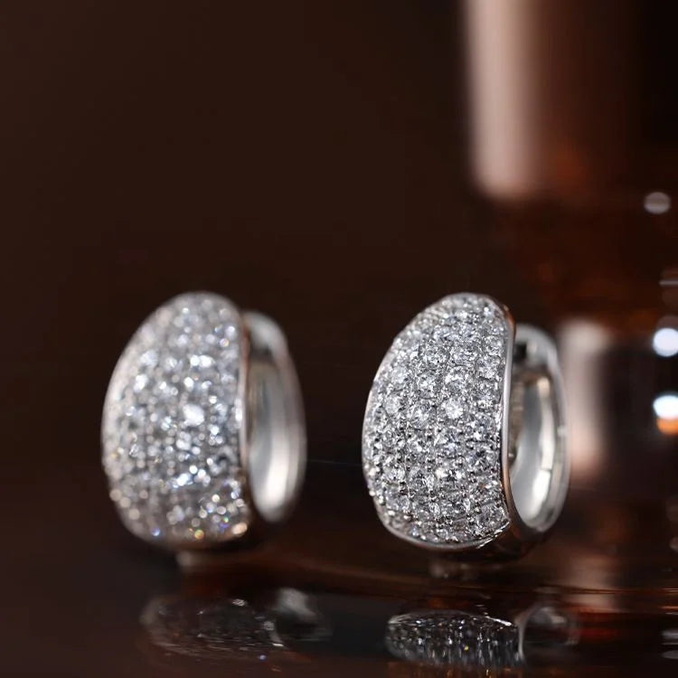 RUYI Elegant Luxury Hypoallergenic Arete De Mujer Jewelry Diamond Lab Grown 14k Gold Women Huggie Hoop Fancy Earrings