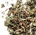 Dry Raw Herba Ajuga Premium Herb Whole Plants Slices Herba Ajugae for Sale