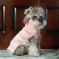 Chihuahua rainbow Dog Clothes Autumn Winter Pet Dog Clothes Soft Warm Turtleneck Pet Dog Sweater