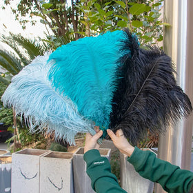 Large Ostrich Feather Plumes 16-32