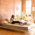 Hot Selling Century Art Modern Minimalist Full Size Canopy/Platform Bed Frame Unique Nordic Design Detachable Plywood Wooden Bed