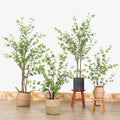 Artificial Enkianthus Perulatus Bonsai Green Plastic Tree Bonsai Floor-standing Bonsai for Home Wedding  Living Room Decoration