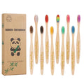 Free Sample Quality Private Label Soft Charcoal Bamboo Toothbrush for Home with Design logo Personalized Case and Holder