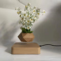 Hotsale Rotating Display Magnetic Levitation Floating air Bonsai Plant Potted Flower for Decoration Gift Home