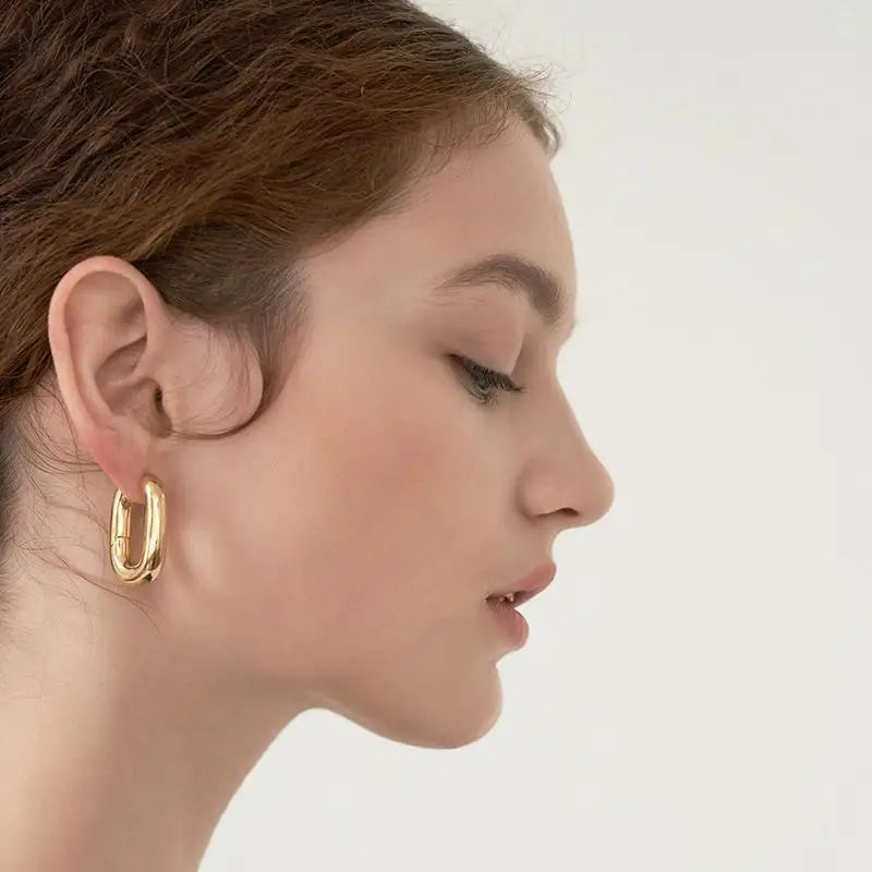 French Minimalist Fashion Earrings Trend 2023 Personalized Retro U Shaped Charm Gold Hoop Earrings for Women