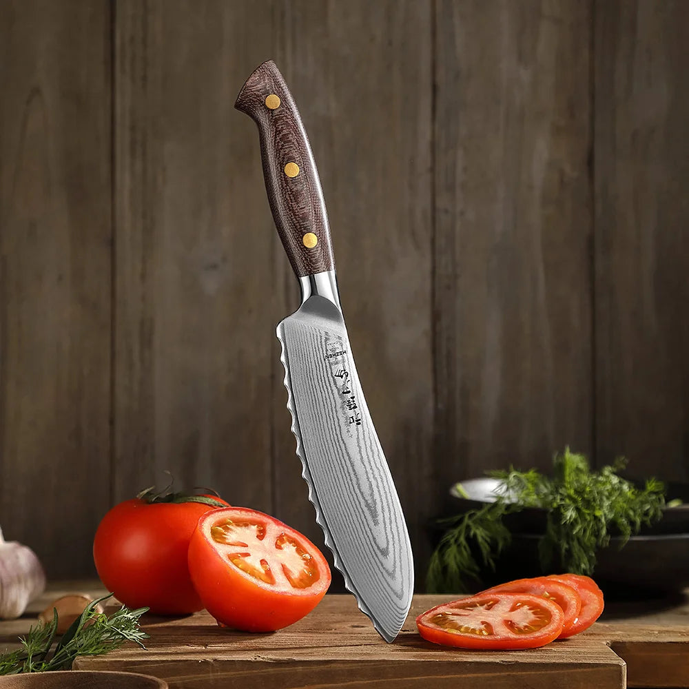 HEZHEN New Tomato Knife Custom 67 Layers Damascus Steel Sharp Kitchen Knives With Micarta Handle