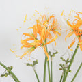 equinox Flower Silk Artificial Higanbana Flowers for Home Vase Decoration