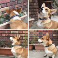 Pet Dog Collar Small and Medium Sized Dog Leash Dog Leash Pet Supplies MegaBDM