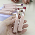 Longwear Lipstick Hydrating Lip Makeup Lip Colour Waterproof High Pigment Lipstick