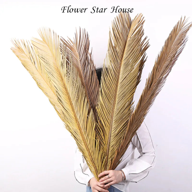 O-X0059 INS Hot Selling DIY Natrual Dried Flower Leaves Folium Cycas Sago Cycas Leaf Real Preserved Plant Palm Tree Leaves