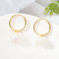 Popular Minimalist Natural Shell Pearl Earrings 18K Gold Plated 925 Silver Circle  Earrings Jewellery