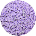 Purple Shell Polymer Slices Additives Clay Sprinkles for Slime Supplies Accessories Decor Filler