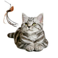 Interesting New Type  Factory Direct-selling Funny Cat Pole