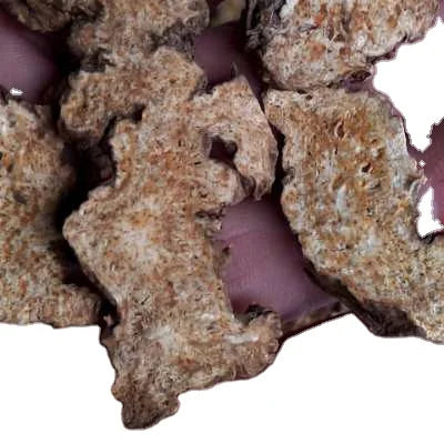 Cang Zhu  Natural Herb Raw Japanese Korea Rhizome Chinese Atractylodes Slices for Sale