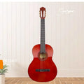 Hot Sale C40 Concert Gloss Full Size Spruce 4/4 Acoustic Beginner 39 Guitarra Classic Guitar Nylon Classical Guitar