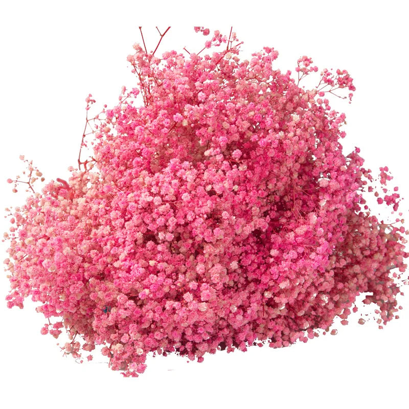Hot Selling Long-Stem Pink Dry Preserved Gypsophila Baby Breath Flowers Real Touch Artificial Home Wedding Decor Graduation
