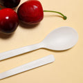 CPLA Eco-Friendly Yogurt & Ice Cream Spoon Modern Disposable Hot Sale Compostable Biodegradable Frozen Spoon