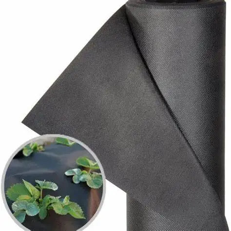 Agricultural Use PP Spunbond Non Woven Fabric Lightweight Breathable Waterproof Anti-UV Plain/Cross Dot Eco Friendly OEKO-TEX