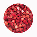 XMSD IQF Frozen Strawberries in Bulk Economically Priced with Water Preservation Process
