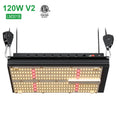 BAVA Full Spectrum Cob Light Grow Meanwell Driver Lm301b 3500k 660nm 120w for Quantum Led Grow Lamp Bloom Microgreens Flower