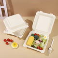 Manufacturer Cornstarch Box Degradable Portable 9 Inches Single Cell Disposable Cornstarch Based Lunch Box  With Clasp Bento Box