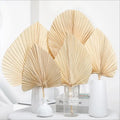 Wedding Decoration Dried Flowers Leaves Flower Natural Fan Palms Dried Palm Leaves
