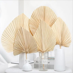 Wedding Decoration Dried Flowers Leaves Flower Natural Fan Palms Dried Palm Leaves