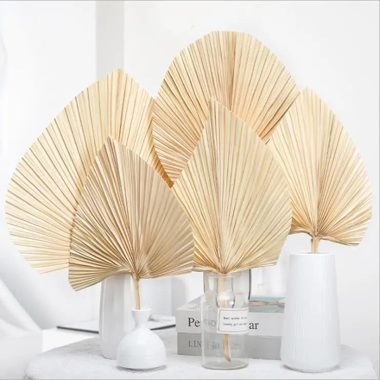 Wedding Decoration Dried Flowers Leaves Flower Natural Fan Palms Dried Palm Leaves