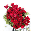 Wedding Decoration Eternal Dried Flowers Eucalyptus Cotton Roses Home & Hotel Decor 60-70cm Factory Direct Sales