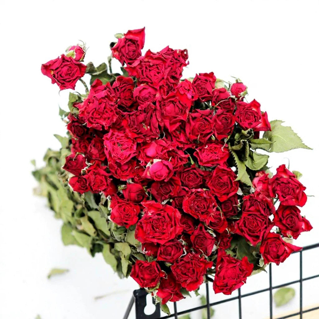 Wedding Decoration Eternal Dried Flowers Eucalyptus Cotton Roses Home & Hotel Decor 60-70cm Factory Direct Sales