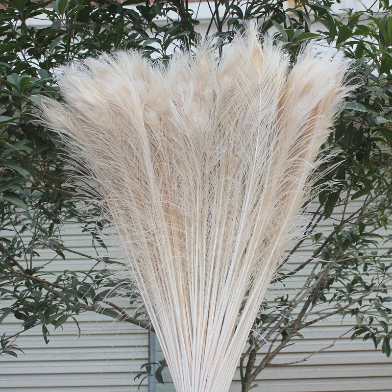 Cheap Sale White and Colorful Peacock Tail Feather for Carnival Dance and Performance Costumes Decoration