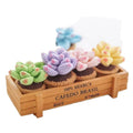 Crochet Toy Kit Plant Series Succulent Bouquet Potted Plants Lovely Simple Handmade DIY Fabric Decorations Material Package