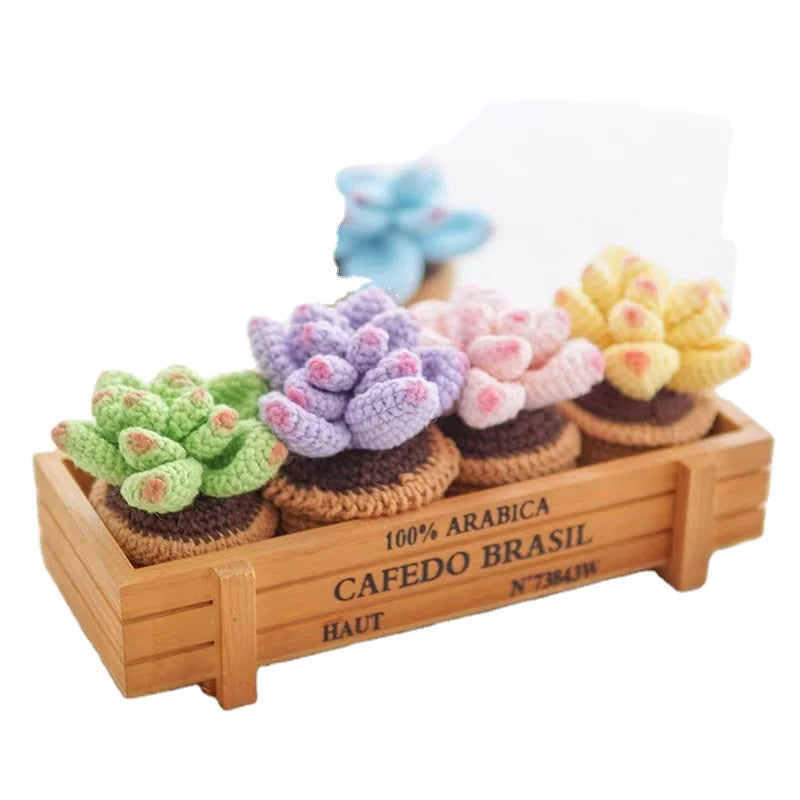Crochet Toy Kit Plant Series Succulent Bouquet Potted Plants Lovely Simple Handmade DIY Fabric Decorations Material Package