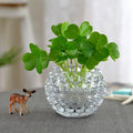 Tiktok Hot Selling High Quality Plant Glass Vase Custom Logo Decorative Floral Glass Flower Vase for Home Decor