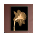 Nordic Style Fancy Gold Flower Canvas Painting Wall Picture Poster Home Decor Oil Painting on Canvas Posters and Prints Art Pict