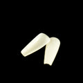 Nail Factory 500pcs ABS Best Quality Clear Natural White Fake Nails Square French Nail Tips