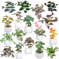 Hot Sale Small Mini Plastic Bonsai Fake Cactus Potted Succulents Artificial Plants in Pot