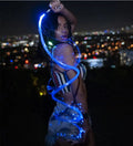 New Product Light Dance Props LED Fiber Optic Sexy Whip